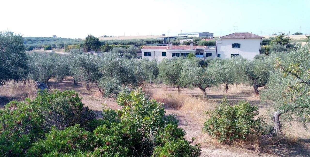 Dimore All'Ofra Matera Exterior foto