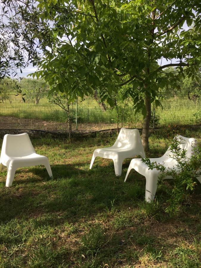Dimore All'Ofra Matera Exterior foto
